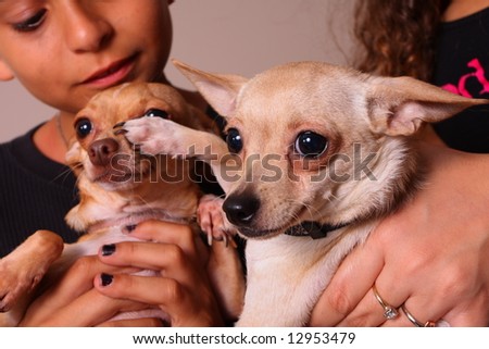 People Holding Dogs