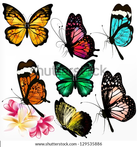 Set of realistic colorful vector butterflies for design