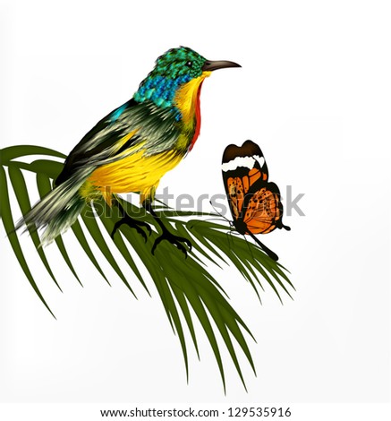 Spring vector background with realistic  tropical vector bird