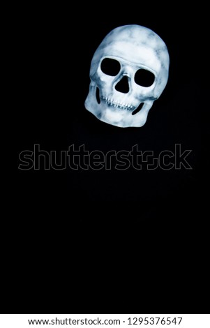 Grey white head skull on black background