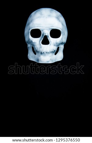 Grey white head skull on black background