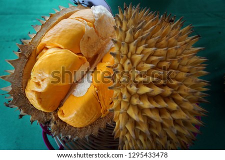                        Pampakin Fruit, a rare fruit similar to durian from tropical forests of South Kalimantan, Borneo forest fruit, Indonesia        