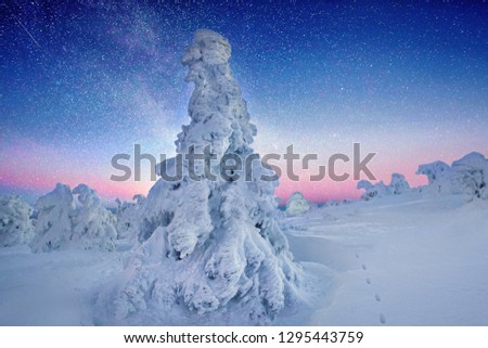 amazing winter landscape with romantic milky way 