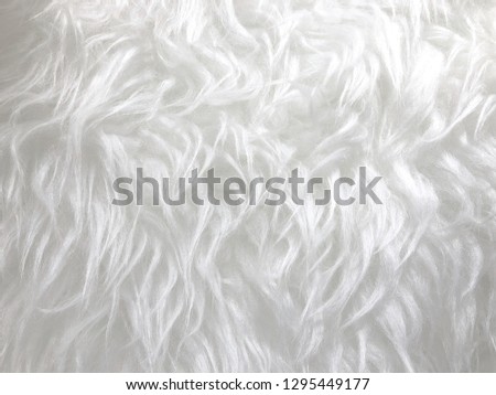 Wool fur background texture wallpaper