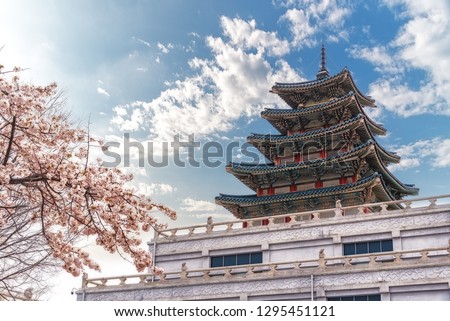 Gyeongbokgung Palace with cherry blossom in spring with the name of the palace 'Gyeongbokgung' on a sign