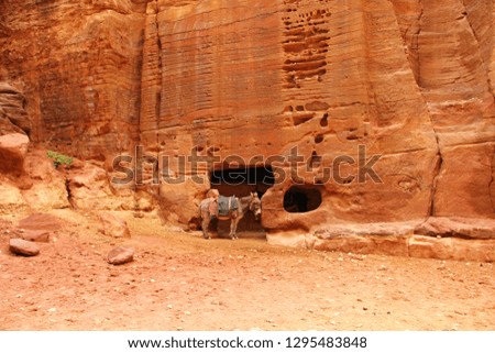 Donkey in a sandstone wall crevice in Petra - Jordan