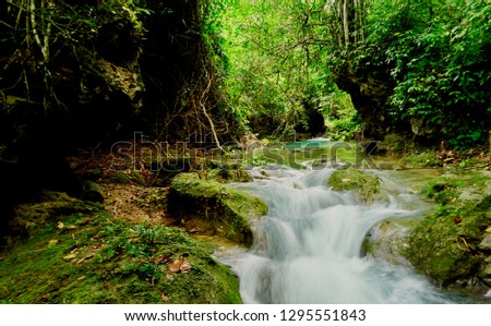 beautiful waterfalls in deep green forest