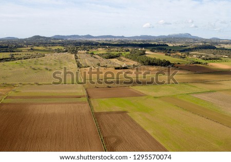 Aerial view of  fields, Mallorca field, Balearic Islands, Spain.