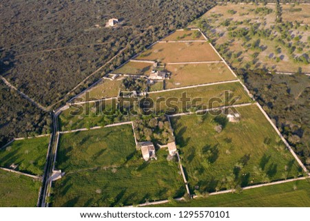Aerial view of  fields, Mallorca field, Balearic Islands, Spain.