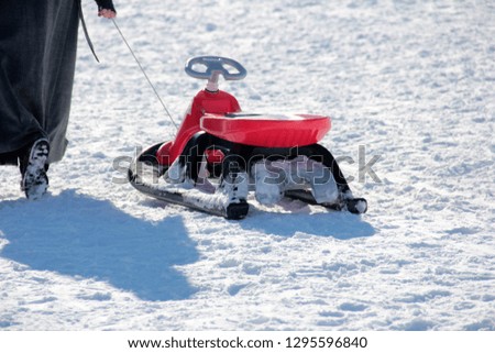 Enjoying the sled in the snow