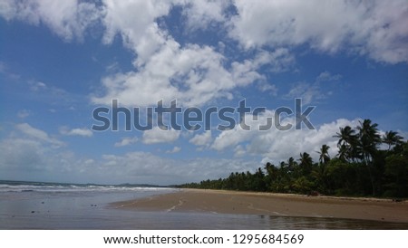 Beautiful empty sand stripe facing Pacific Ocean at Mission Beach with a palm tree jungle in the background under a pristine sky - Australia
