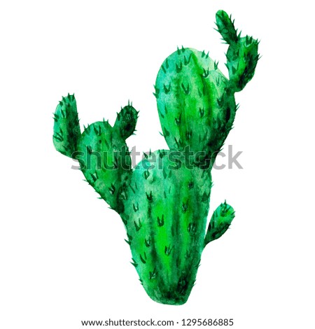 Exotic green cactus. Tropic cacti. Watercolor hand drawn botanical illustration. Clipart design for stickers, postcard, invitation, cover, print, poster, pattern, decor, wrapping, fabric, stationery.
