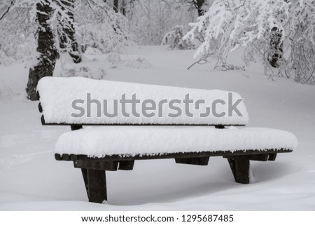 Bench in the forest covered with fresh snow