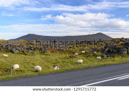 Landscape near lake Myvatn in Iceland