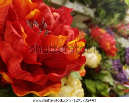 macro of a beautiful red flower with immense depth of field