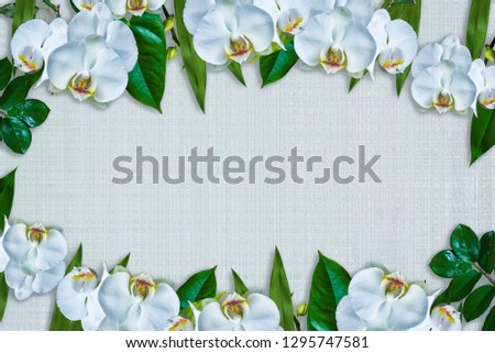 Composition of orchid buds on a white polished table