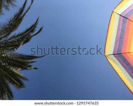 Summer vibes, happy and positive photo of colorful parasol with stripes and palm tree against the blue sky. Perfect holidays at the beach, close to the sea or ocean or at the resort.