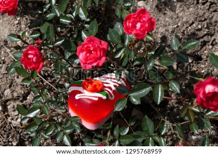 Red roses bush and Natural fragrant soap close-up picture