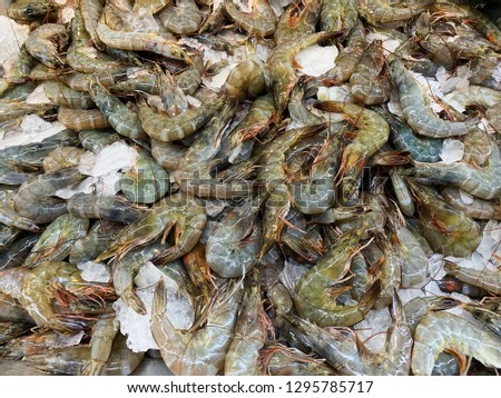 Pile of White leg shrimp or Pacific white shrimp or king prawn freezing with ice in supermarket.