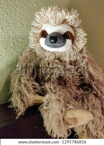 Cuddly Stuffed Sloth