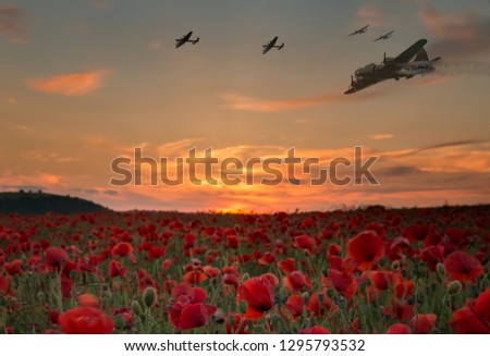 Lest we forget,scene of bomber planes flying over a poppy field as the sun goes down, Anzac day and Remembrance day.  Royalty-Free Stock Photo #1295793532
