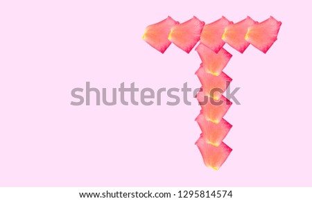Rose petal letter T Background image, Rose Petal letters/alphabet/characters constructed from rose petal on white background and light pink background