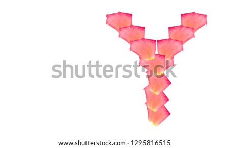 Rose petal letter Y Background image, Rose Petal letters/alphabet/characters constructed from rose petal on white background and light pink background