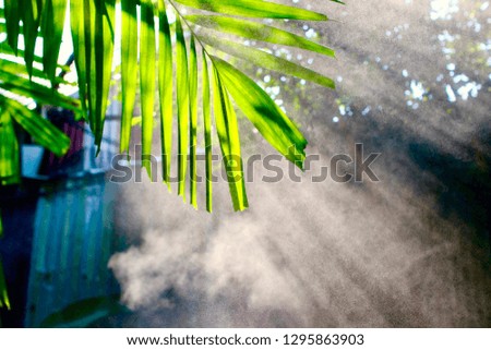 Green leaves with water spray and light