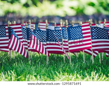 American Memorial Day at the park