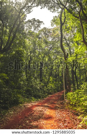 Pictures from the trek of Matheran. Matheran is the nearest hillstation from Mumbai and is easily accesbile from train and roadways. The best time of the year to visit Matheran is during monsoon.
