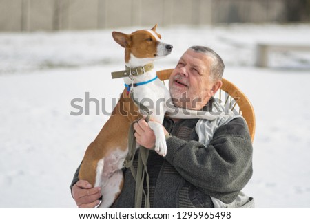Outdoor portrait of Caucasian senior man taking his majestic basenji dog on the hands. The dog is proud and vainglorious individual. Royalty-Free Stock Photo #1295965498