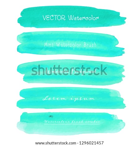 Set of mint watercolor on white background, Brush stroke watercolor, Vector illustration.
