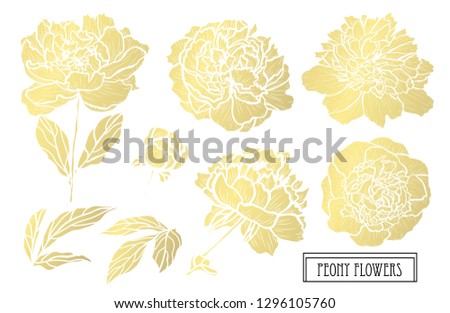 Decorative peony flowers, design elements. Can be used for cards, invitations, banners, posters, print design. Golden flowers