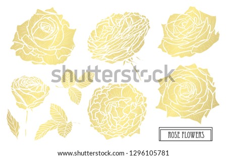 Decorative rose flowers, design elements. Can be used for cards, invitations, banners, posters, print design. Golden flowers