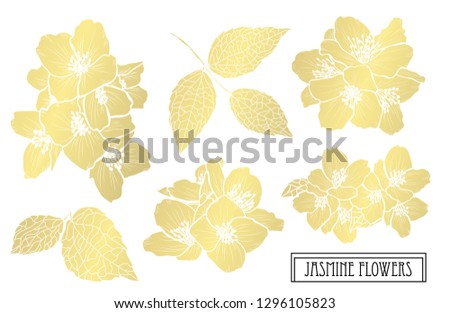 Decorative jasmine  flowers, design elements. Can be used for cards, invitations, banners, posters, print design. Golden flowers