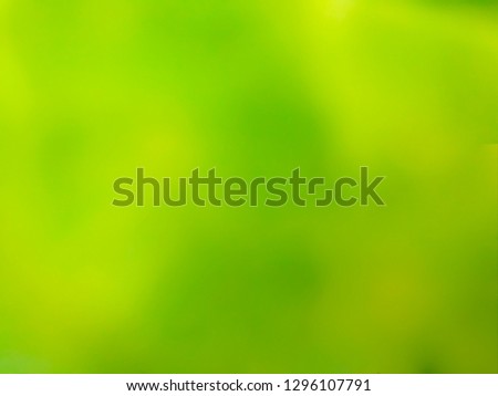 The freshness of green nature for a blurred modern style background.