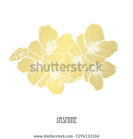 Decorative jasmine flowers, design elements. Can be used for cards, invitations, banners, posters, print design. Golden flowers