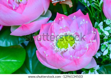 lotus flowers, Marigold garlands 