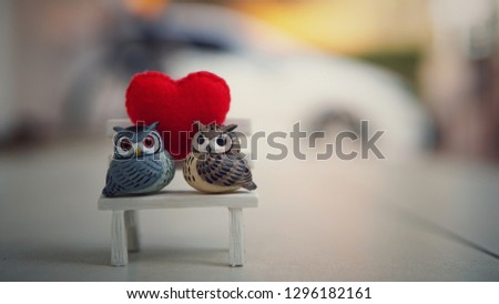 A couple of loving owls sitting on benchwith hearted-shape pillow