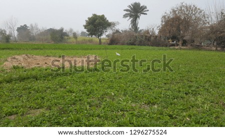 Agricultural Lands and landscape with small botany and plants view
here you can fine many more old villages and old trend of agricultural methods.
Tree are also beautiful with plants and botany.