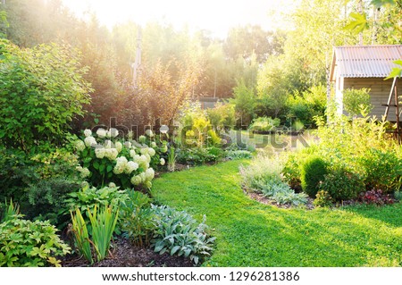 summer private garden with blooming Hydrangea Annabelle. Curvy lawn edge, beautiful pathway. Landscape design in English cottage style. Royalty-Free Stock Photo #1296281386