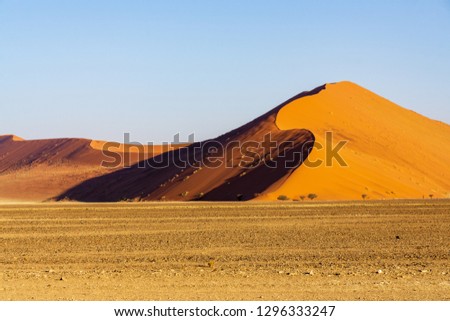 Sunset in most ancient in the world Namib Desert. Oryx standing at the road. Travel to Namibia