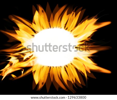 fire sunflower
