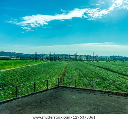 Europe, Italy, Rome to Florence train, a large green field with trees in the background