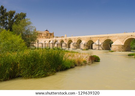 Roman bridge is over the Guadalquivir river in Cordoba. The Calahorra Tower (Torre de la Calahorra) is a fortified gate to protect the bridge.