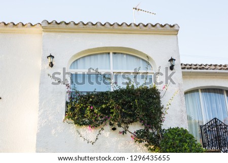 Design, architecture and exterior concept - Large window with plants on the white facade