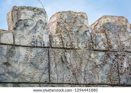 Old stone fence with tree branches