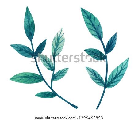 Decorative green leaves on branch. Hand drawn watercolor illustration. Isolated on white background.