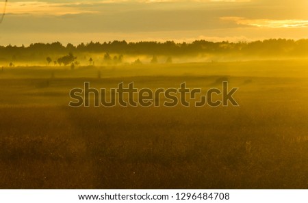 Sunny sunset over the field in Russia