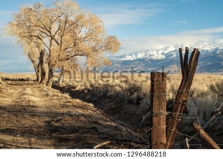 wood post on dirt road with winter tree snowy mountain range in distance California scenery